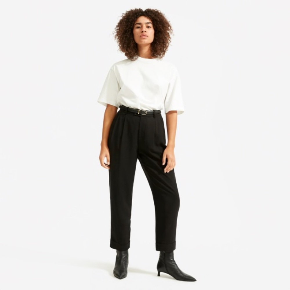 NWT Everlane Put-Together Black Pleated Pant
